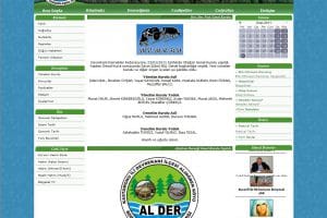 Alınören Köyü Derneği